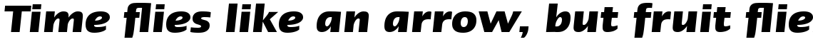 Linotype Ergo W2G Bold Italic