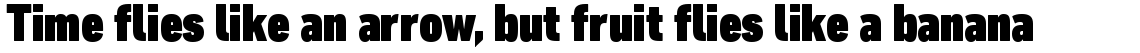 DIN Next Pro Condensed Black