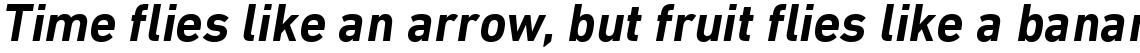 DIN Next Pro Bold Italic
