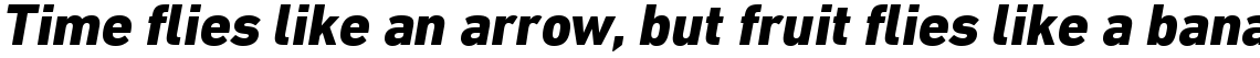 DIN Next Pro Heavy Italic