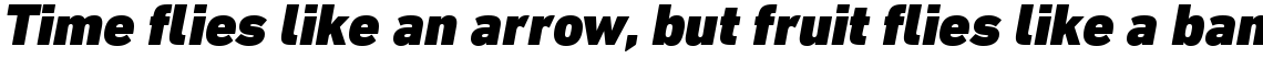 DIN Next Pro Black Italic