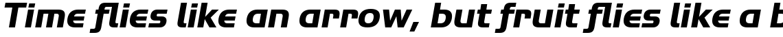 ITC Handel Gothic Com Heavy Italic