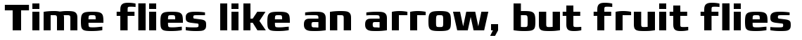 Francker Pro Bold