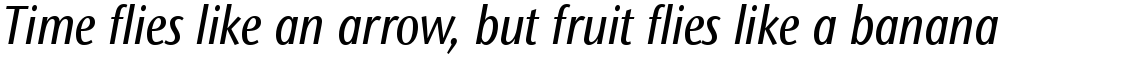 ITC Stone Sans II Com Condensed Medium Italic