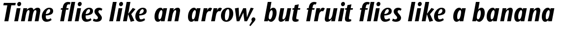 ITC Stone Sans II Com Condensed Bold Italic