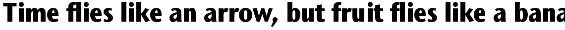 ITC Stone Sans II Com Condensed Extra Bold