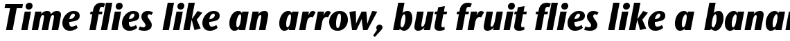 ITC Stone Sans II Com Condensed Extra Bold Italic