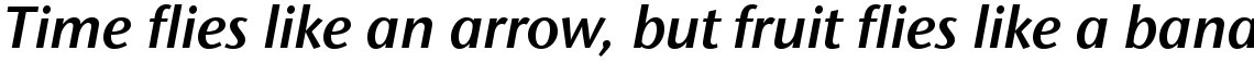 ITC Stone Sans II Com Semibold Italic