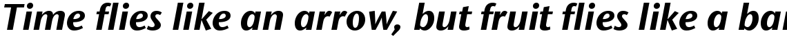ITC Stone Sans II Com Bold Italic