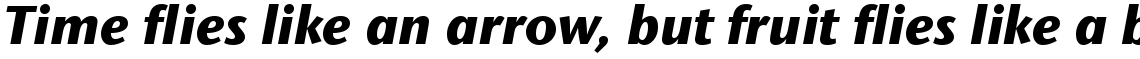 ITC Stone Sans II Com Extra Bold Italic