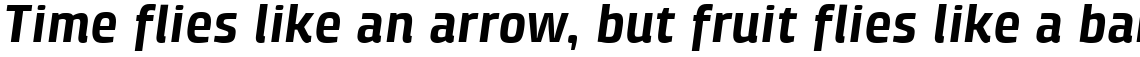 Klint Pro Bold Italic
