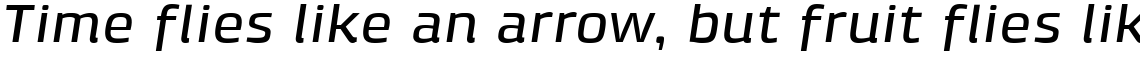 Klint Pro Medium Extended Italic
