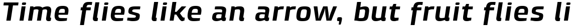 Klint Pro Bold Extended Italic