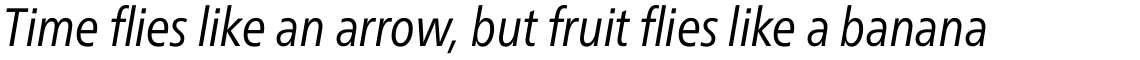 Neue Frutiger Pro Condensed Book Italic