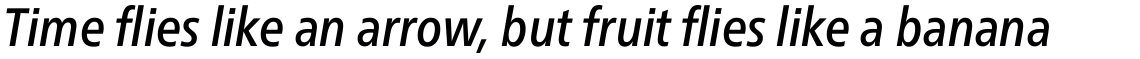 Neue Frutiger Pro Condensed Medium Italic