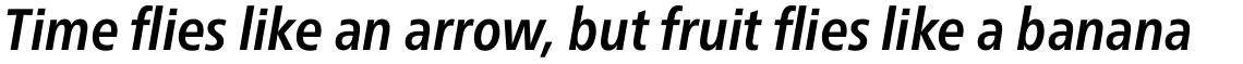 Neue Frutiger Pro Condensed Bold Italic