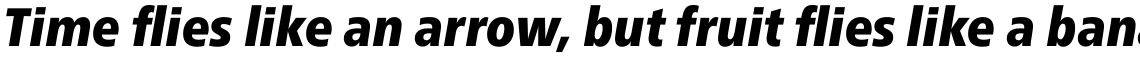 Neue Frutiger Pro Condensed Extra Black Italic