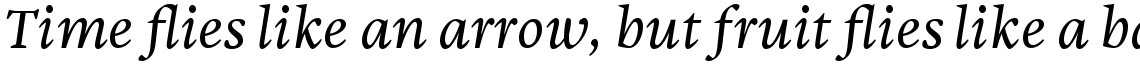 Malabar Pro Italic