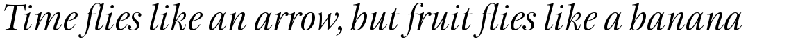 ITC New Esprit Pro Display Italic