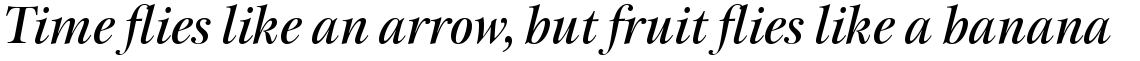 ITC New Esprit Pro Display Medium Italic