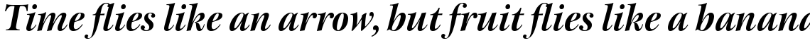 ITC New Esprit Pro Display Bold Italic