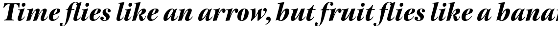 ITC New Esprit Pro Display Black Italic