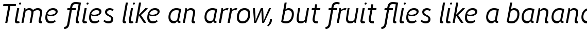 ITC Migration Sans Std Light Italic