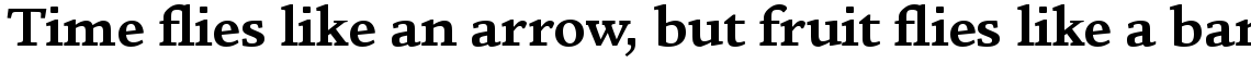 ITC Legacy Square Serif Std Bold