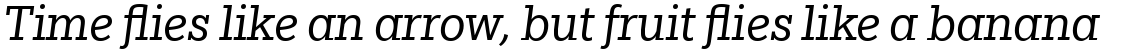 Egyptian Slate Pro Book Italic