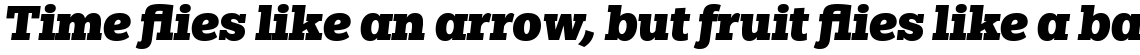 Egyptian Slate Pro Black Italic