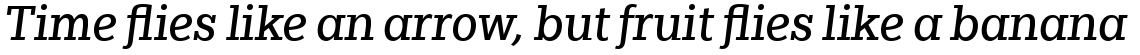 Egyptian Slate Pro Italic