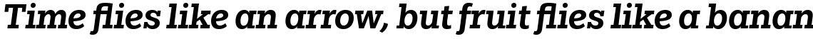 Egyptian Slate Pro Medium Italic