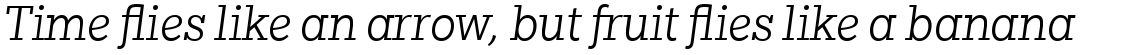Egyptian Slate Std Light Italic
