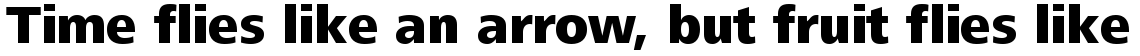 Frutiger Next Central European Heavy