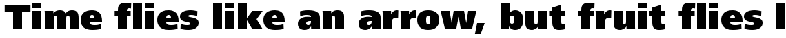 Frutiger Next Central European Black