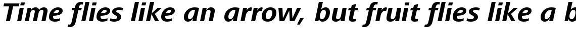 Frutiger Next Central European Bold Italic