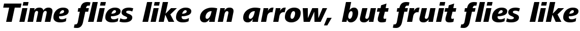 Frutiger Next Central European Heavy Italic