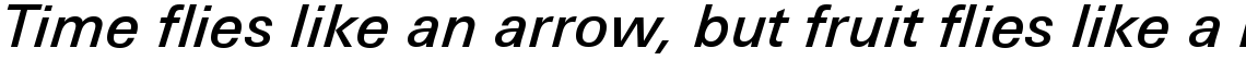 Linotype Univers 531 Basic Medium Italic