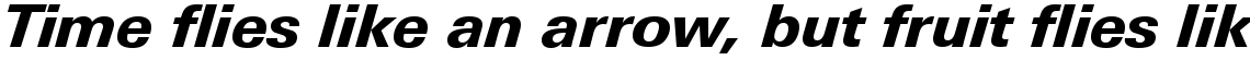 Linotype Univers 731 Basic Heavy Italic