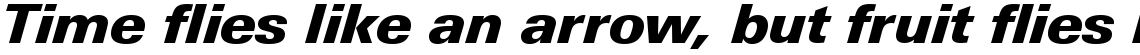 Linotype Univers 831 Basic Black Italic