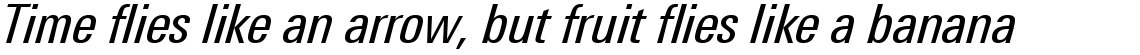Linotype Univers 421 Condensed Regular Italic