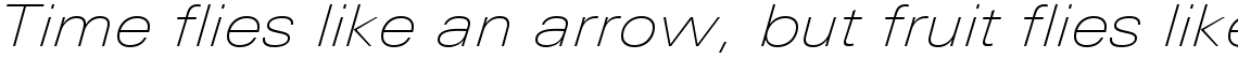 Linotype Univers 241 Extended Thin Italic