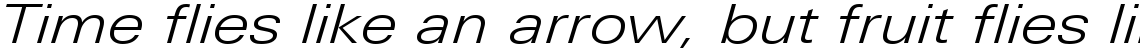 Linotype Univers 341 Extended Light Italic