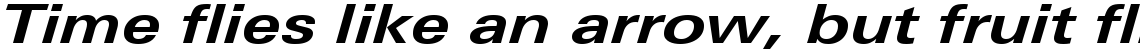 Linotype Univers 641 Extended Bold Italic