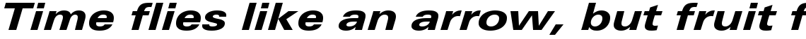Linotype Univers 741 Extended Heavy Italic