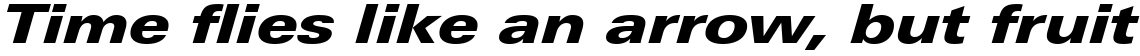 Linotype Univers 841 Extended Black Italic