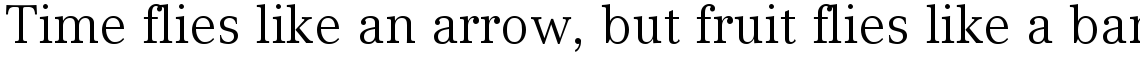 Compatil Text Regular