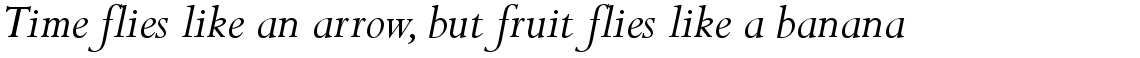 Perpetua Italic
