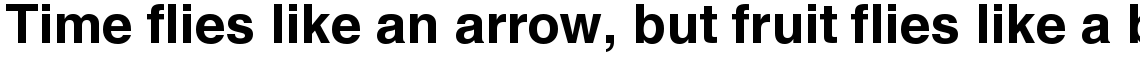 Helvetica Hebrew Bold