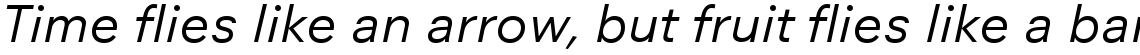 Neuzeit Office Com Italic